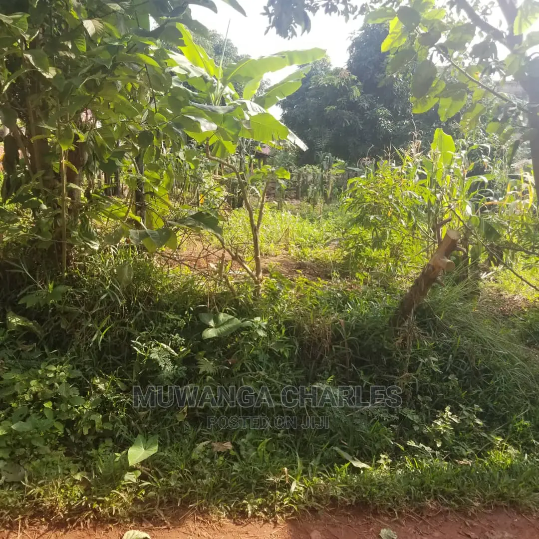 100by50ft Plot in Kira on Quick Sale
