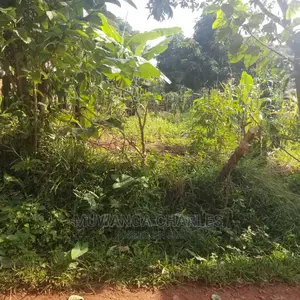 100by50ft Plot in Kira on Quick Sale