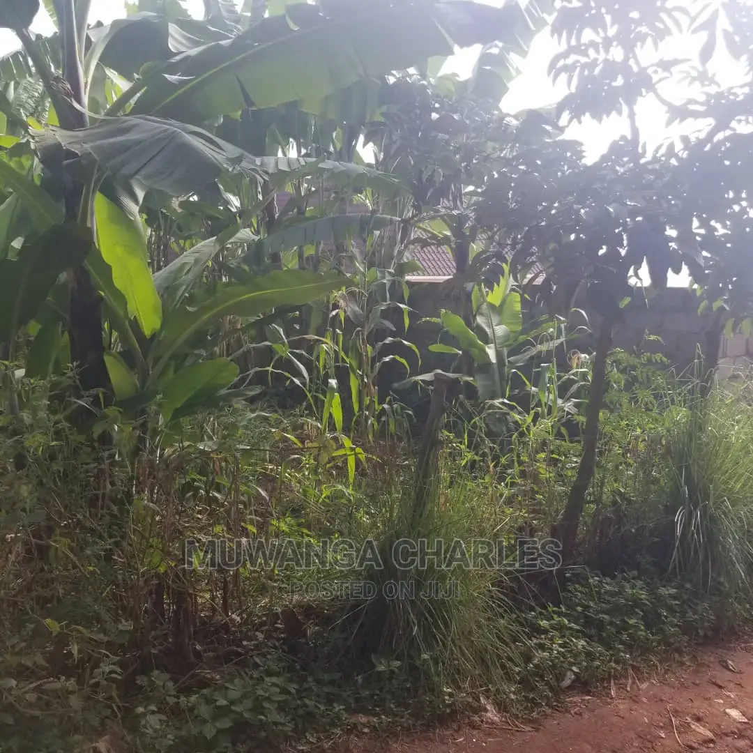 100by50ft Plot in Kira on Quick Sale
