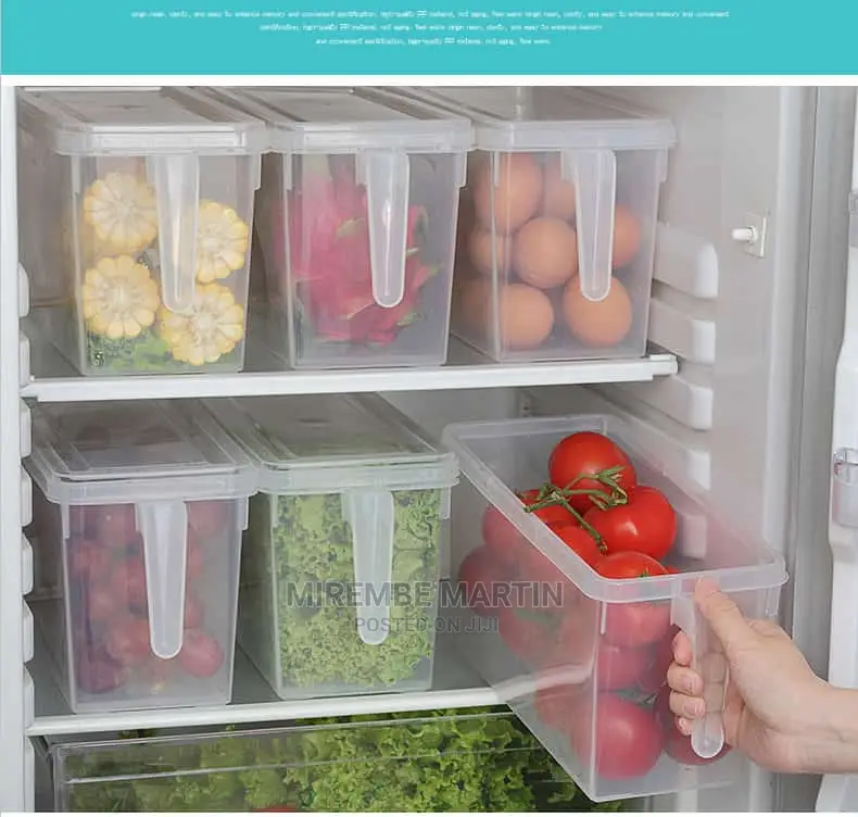 Fridge Container Boxes