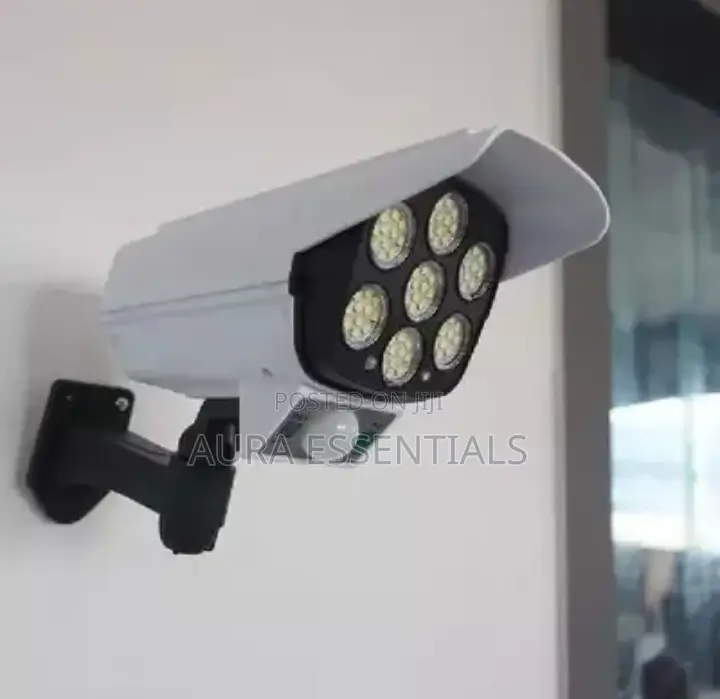 Solar Monitoring Street Lamp
