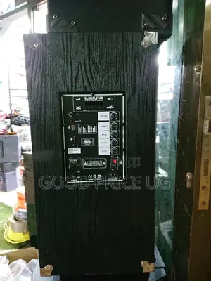 10 Inches Globalstar Sound Sytem/ Speaker.