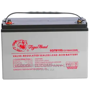 100ah Tiger Head Solar Battery