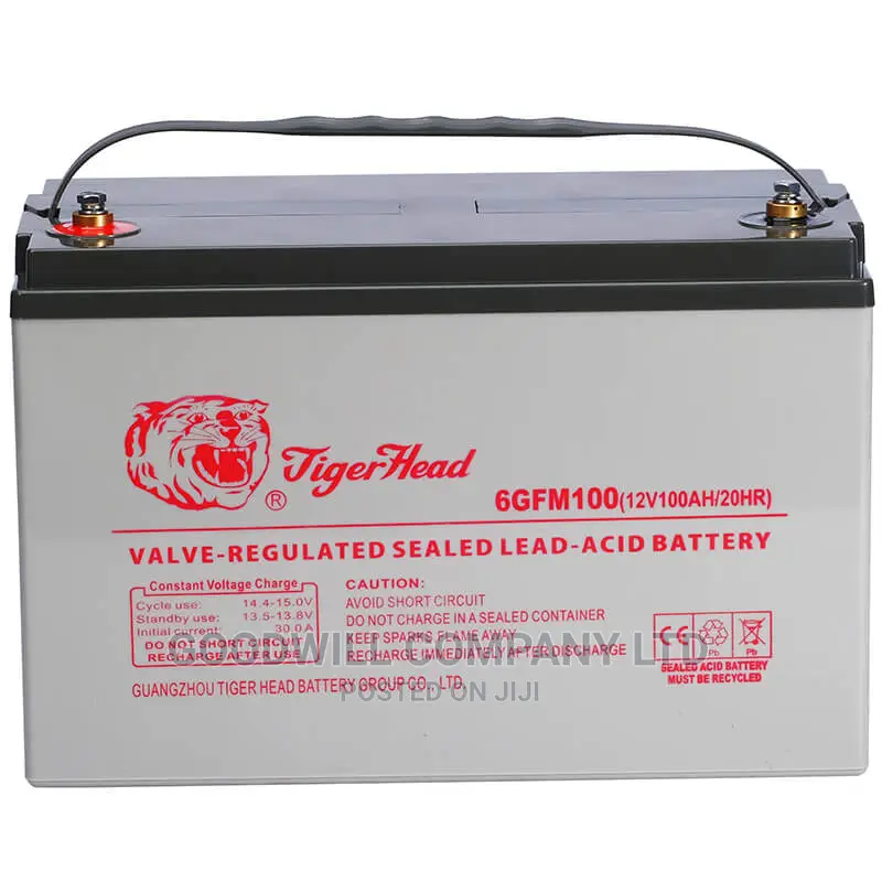 100ah Tiger Head Solar Battery