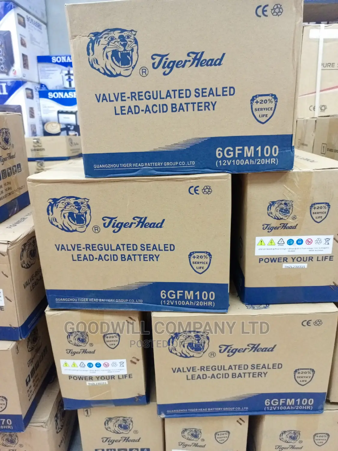 100ah Tiger Head Solar Battery Max