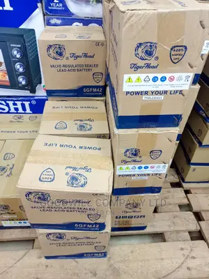 42ah Tiger Head Solar Battery
