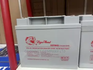 42ah Tiger Head Solar Battery Max