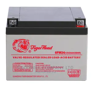 18w Tiger Head Solar Battery