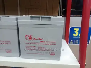 24ah Tiger Head Solar Battery Max