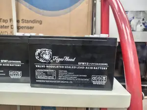 12ah Tiger Head Solar Battery