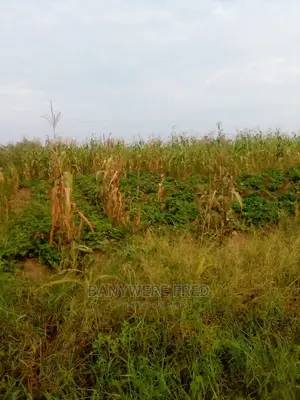 200acres of Industrial Land for Sale in Kayunga District