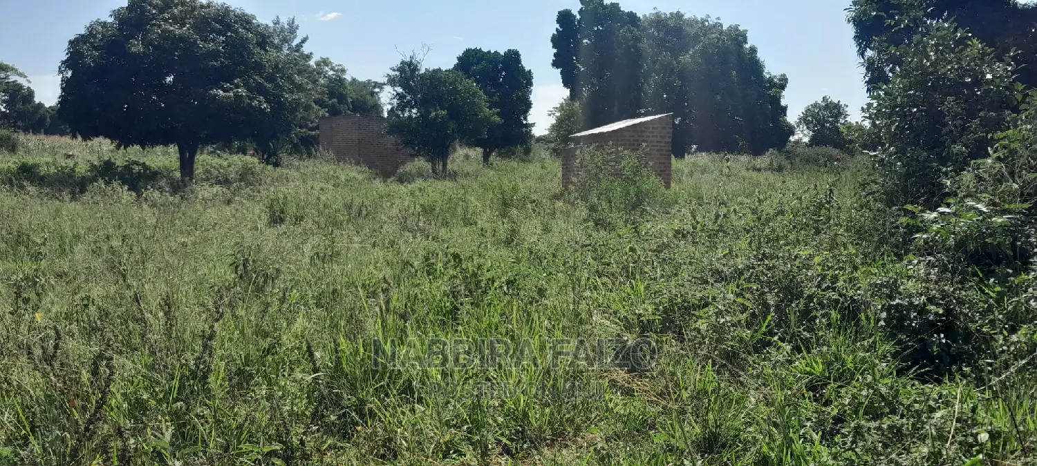 11 Acres of Farmland on Sale in Buyende in Kamuli Land & Plots for