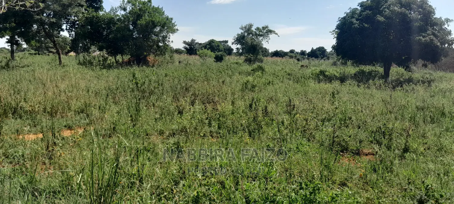 11 Acres of Farmland on Sale in Buyende in Kamuli Land & Plots for