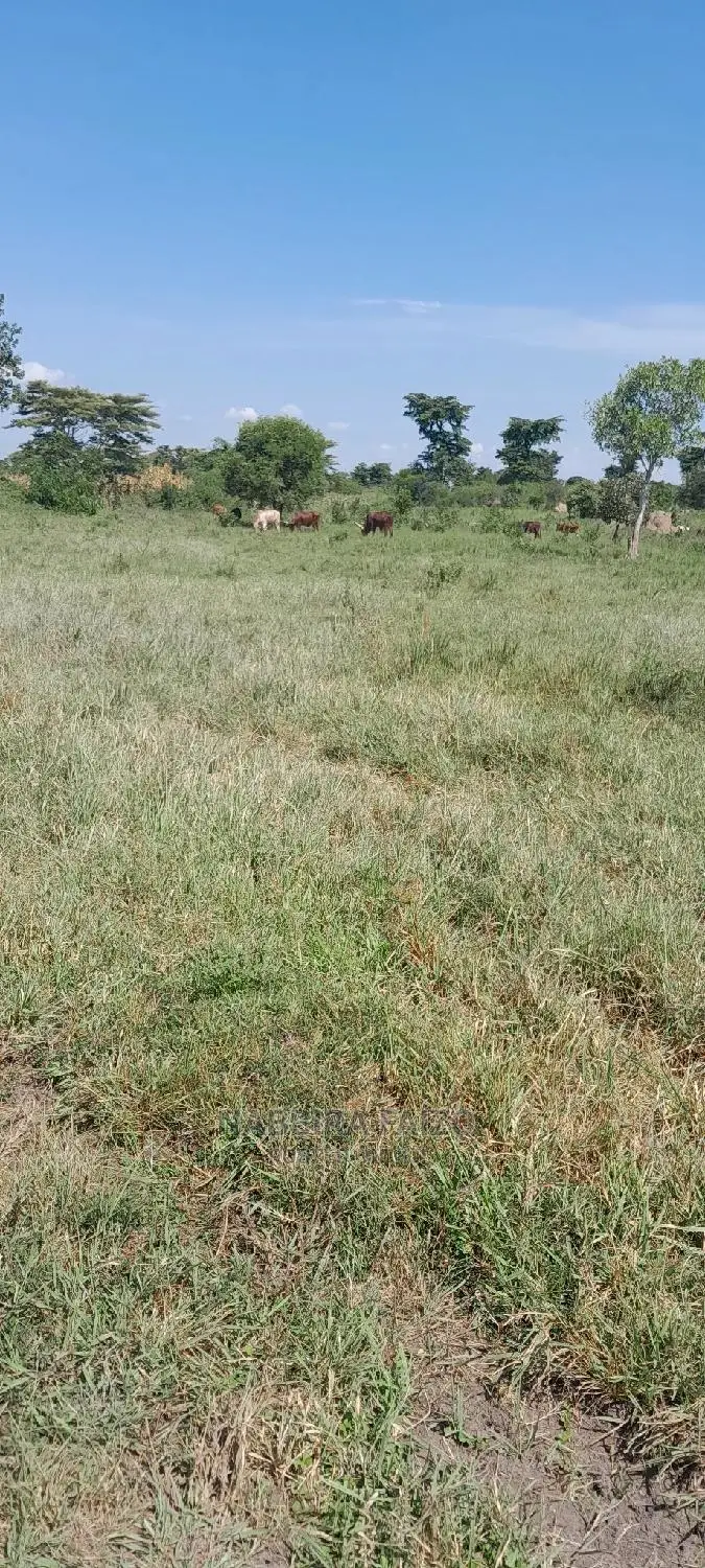 11 Acres of Farmland on Sale in Buyende in Kamuli Land & Plots for