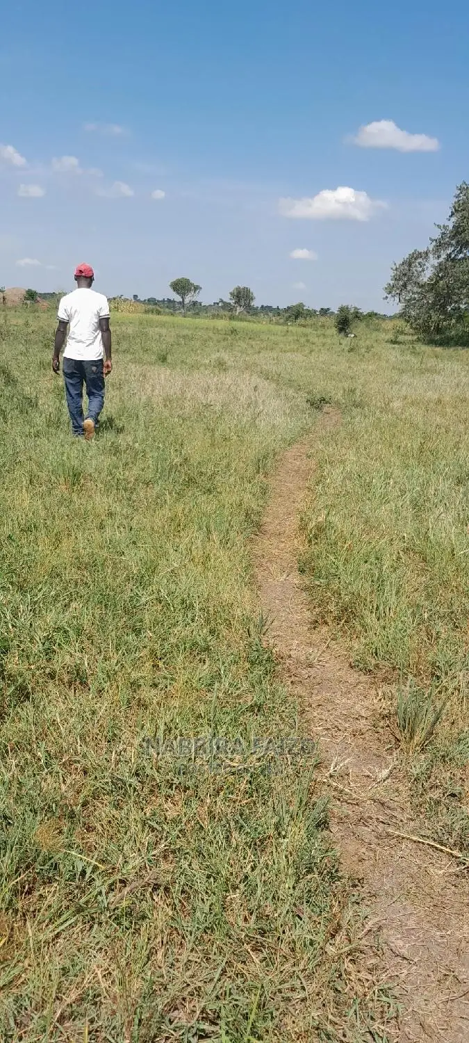 11 Acres of Farmland on Sale in Buyende in Kamuli Land & Plots for