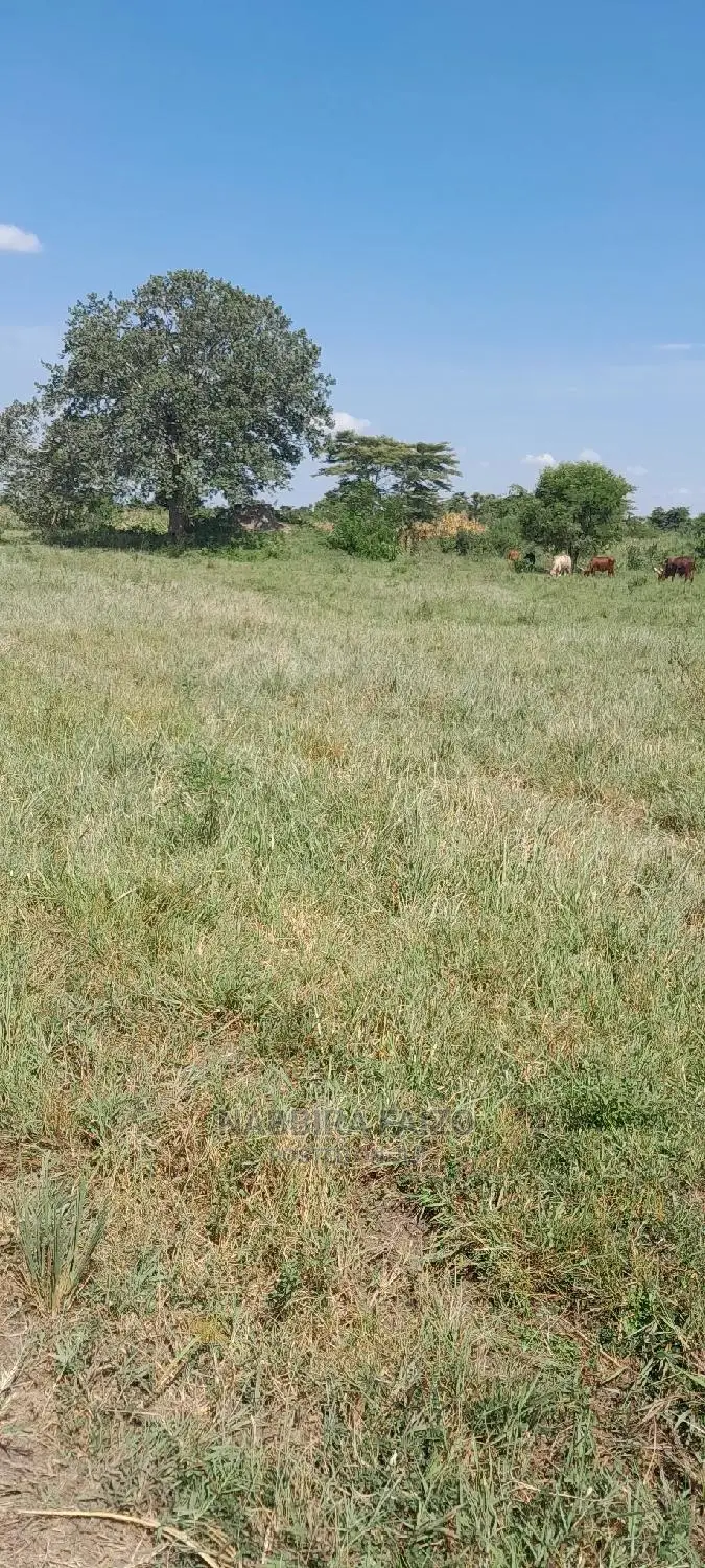 11 Acres of Farmland on Sale in Buyende in Kamuli Land & Plots for