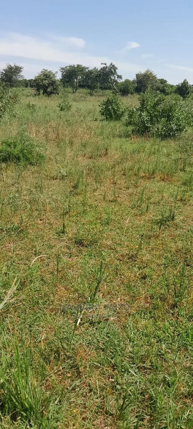11 Acres of Farmland on Sale in Buyende in Kamuli Land & Plots for
