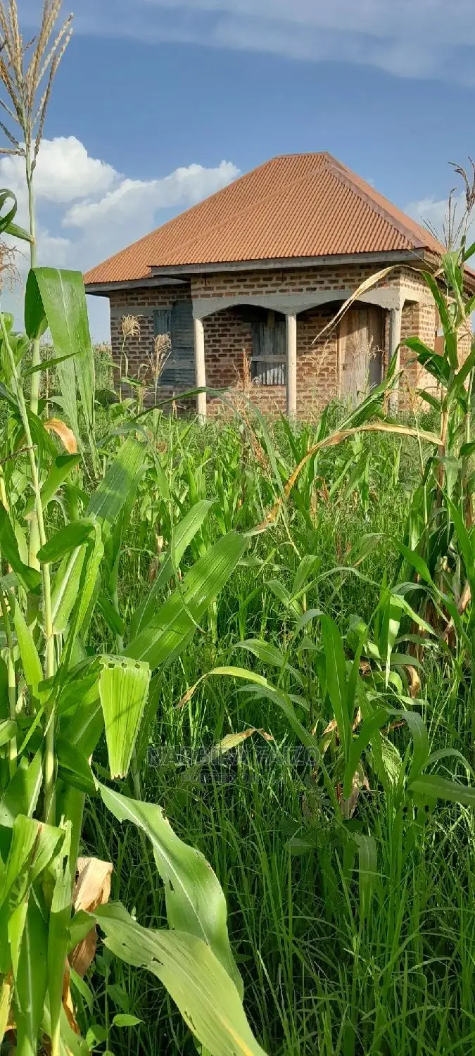 5 Acres of Lake Kyoga Land in Buyende for Sale in Kamuli Land & Plots