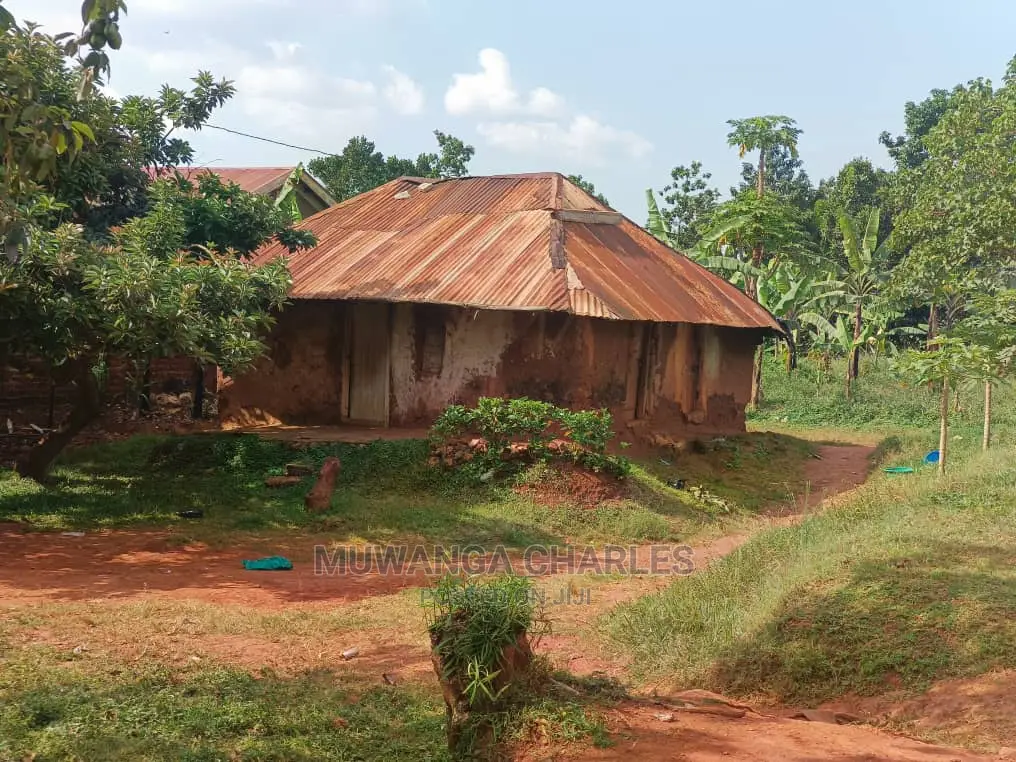 100by100ft Plot in Kulambiro on Quick Sale