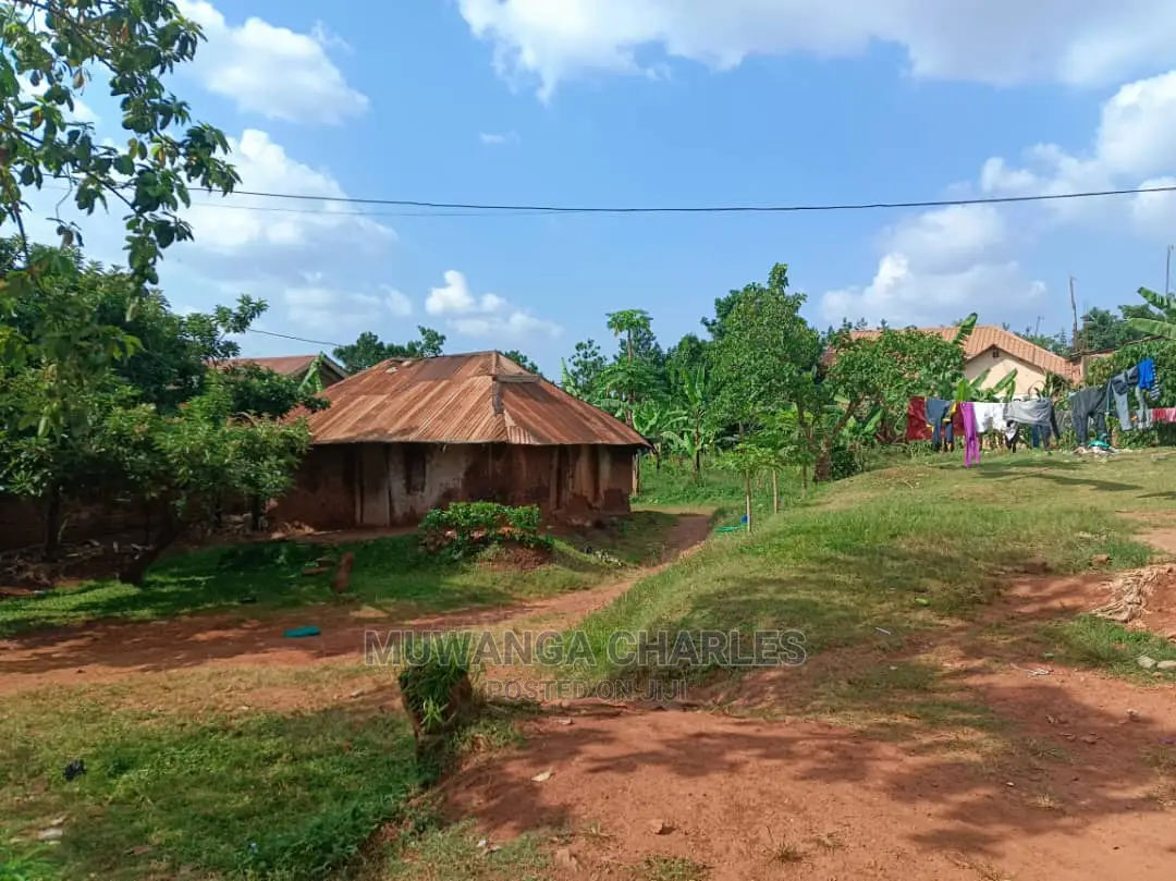 100by100ft Plot in Kulambiro on Quick Sale