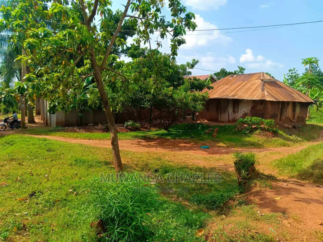 100by100ft Plot in Kulambiro on Quick Sale