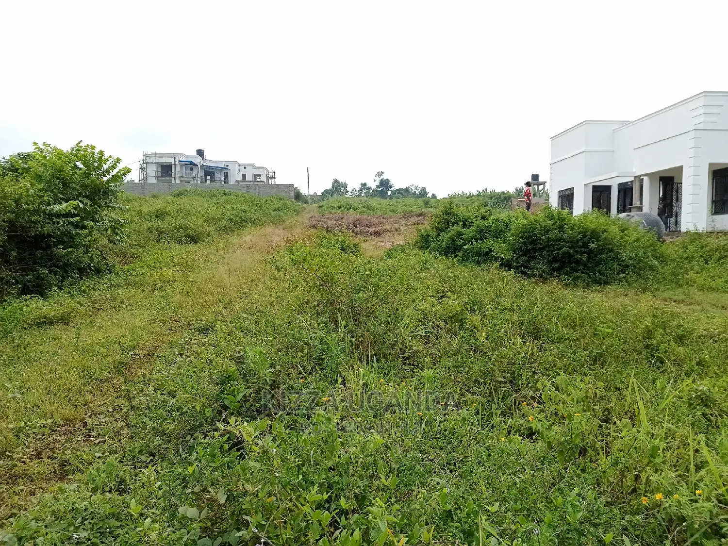 Gayaza-Mixed Plots
