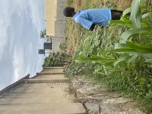 37 Decimals of Private Mailo Land in Kibuli