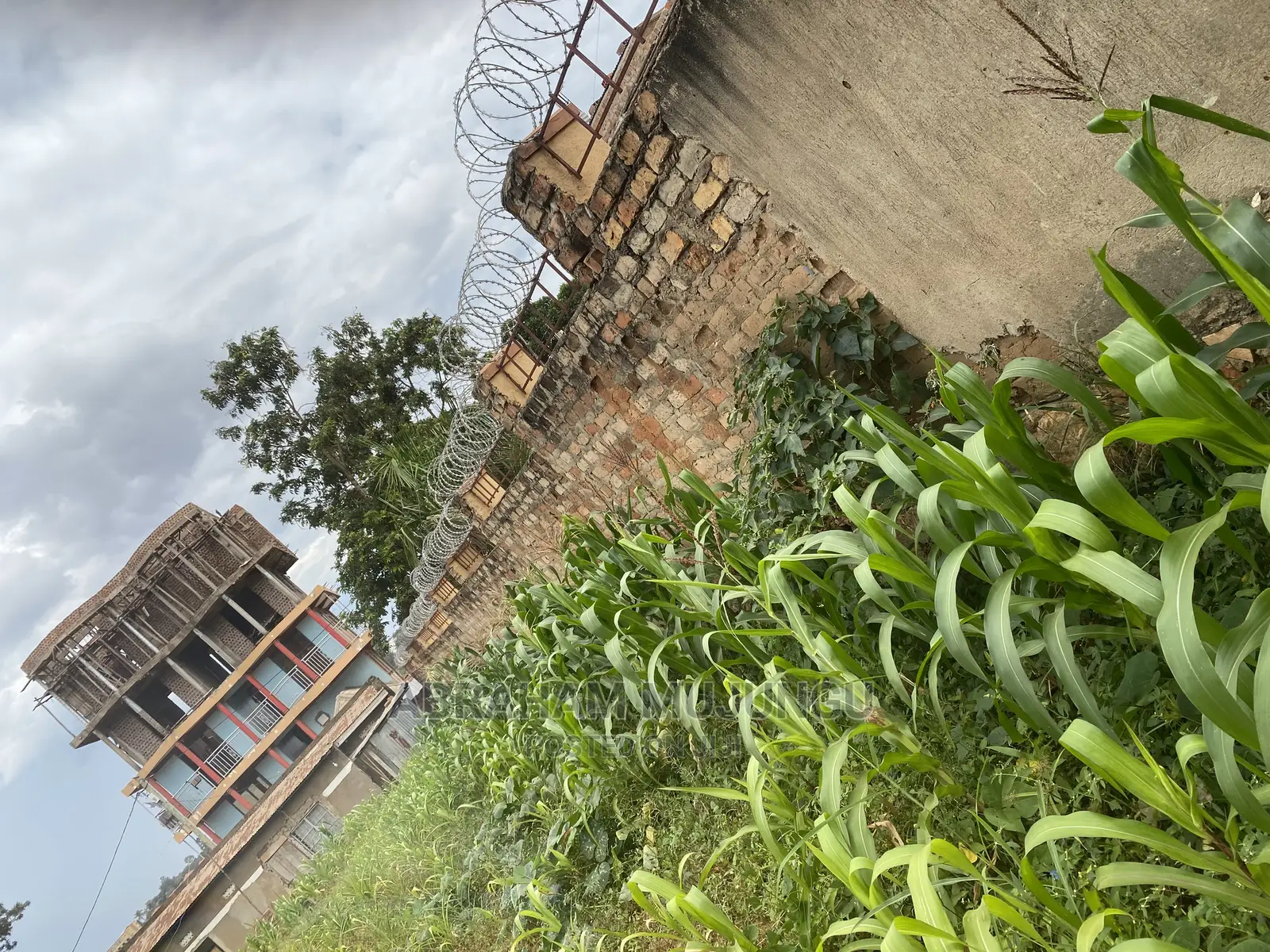 37 Decimals of Private Mailo Land in Kibuli