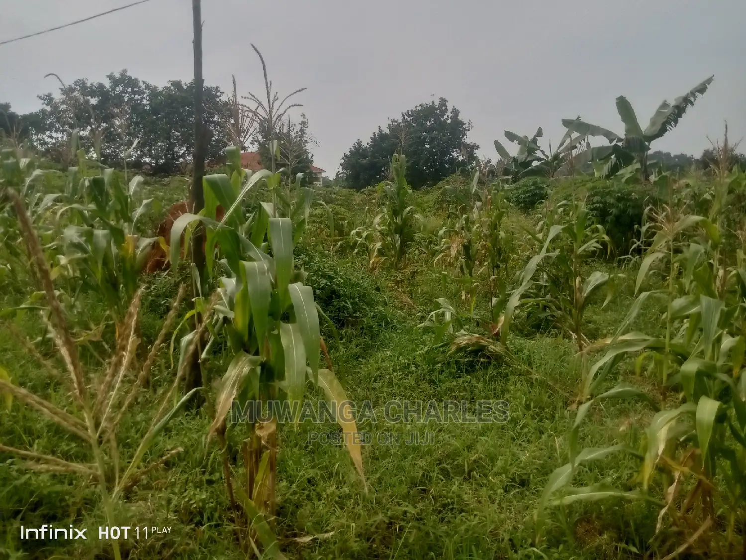 2.5acres Of Land In Namugongo Sonde On Quick Sale