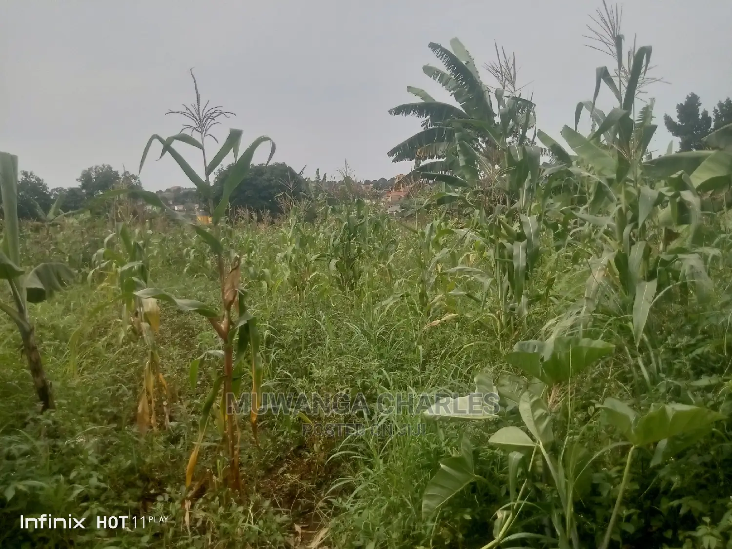 2.5acres Of Land In Namugongo Sonde On Quick Sale