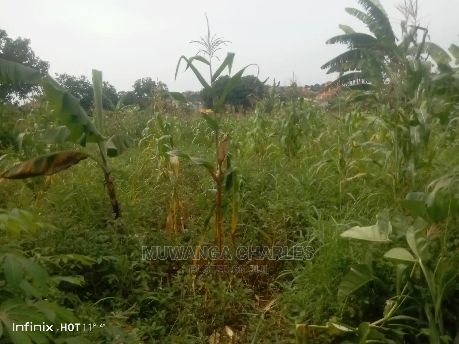 2.5acres Of Land In Namugongo Sonde On Quick Sale