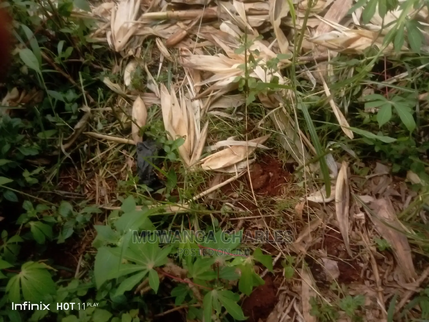 2.5acres Of Land In Namugongo Sonde On Quick Sale