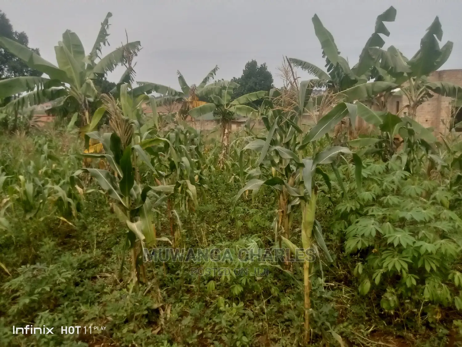 2.5acres Of Land In Namugongo Sonde On Quick Sale
