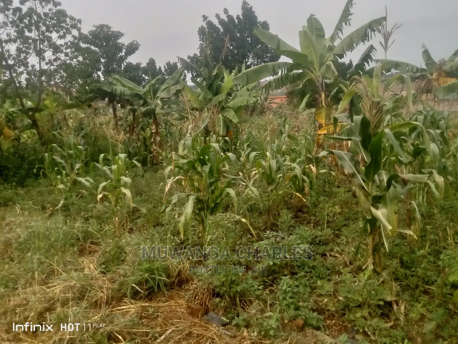 2.5acres Of Land In Namugongo Sonde On Quick Sale
