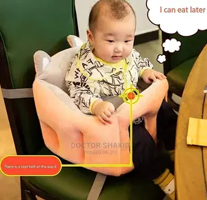 Portable Car Seat
