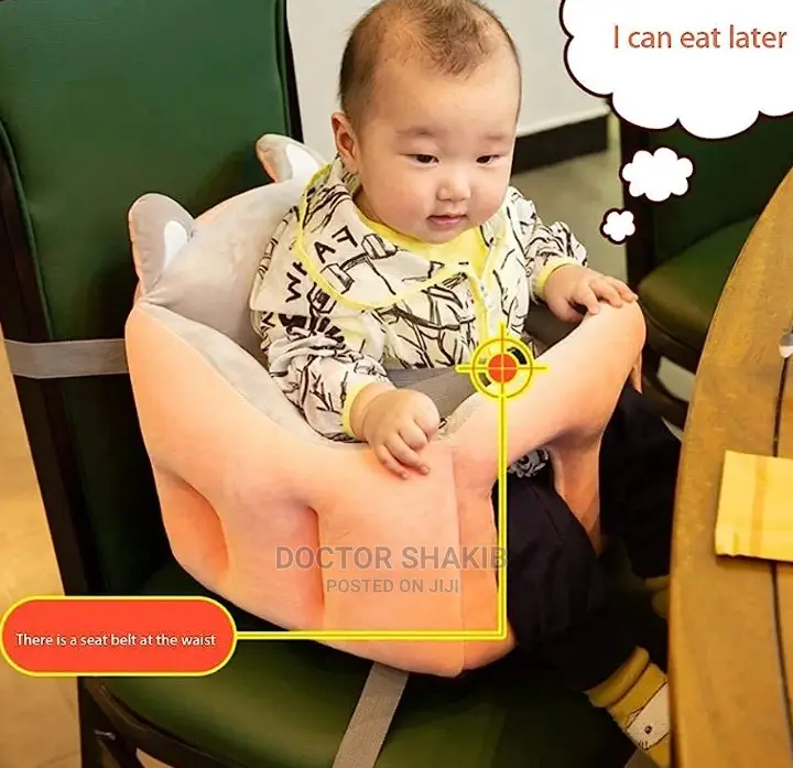 Portable Car Seat