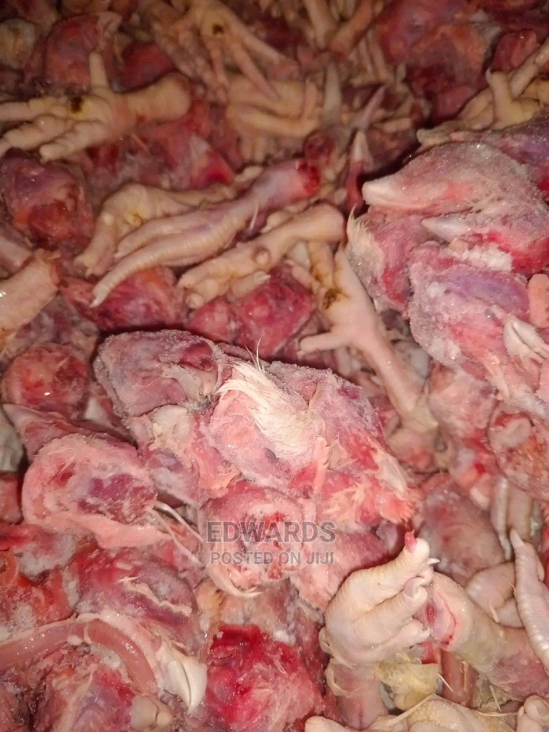 Clean Dog Food
