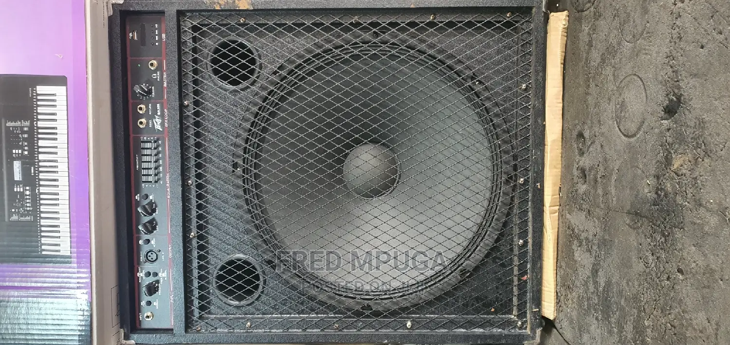 Peavey Bass Combo