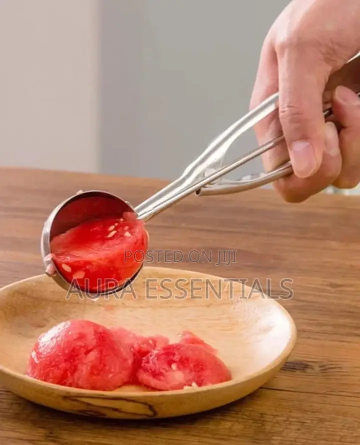 Stainless Steel Ice Cream Scoop