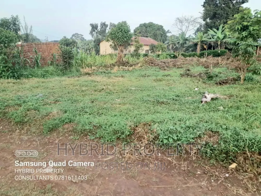 Prime Plots for Sale at Wakiso~Kavumba Along Hoima Road IV.