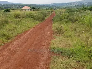 Plots in Kiwenda on Quick Sale