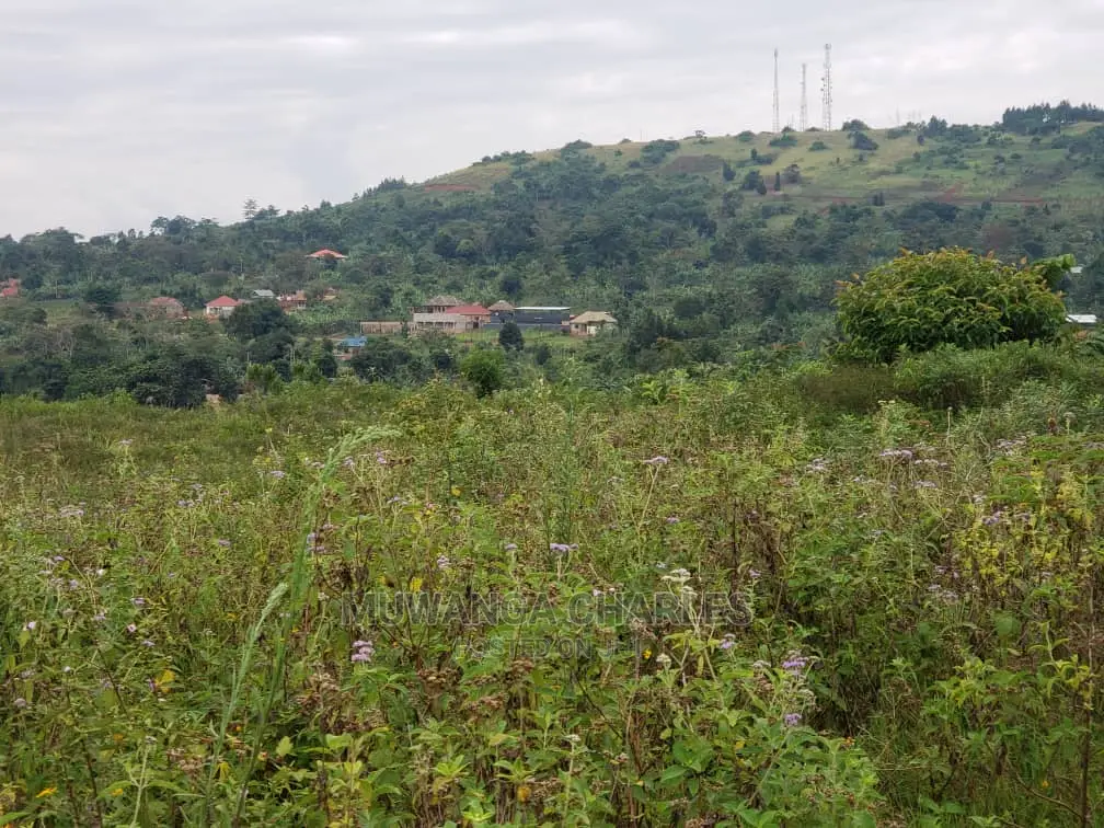 Plots in Kiwenda on Quick Sale