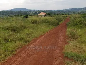 Plots in Kiwenda on Quick Sale