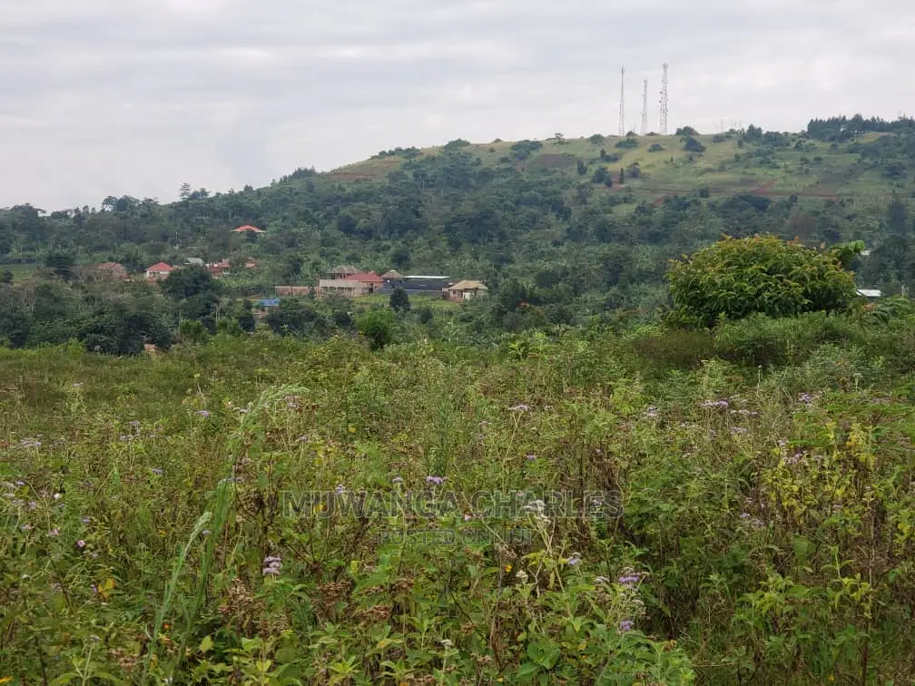 Plots in Kiwenda on Quick Sale