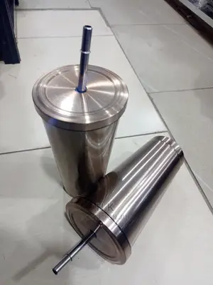 Insulated Cup Mug Straw Double Walled Bottle