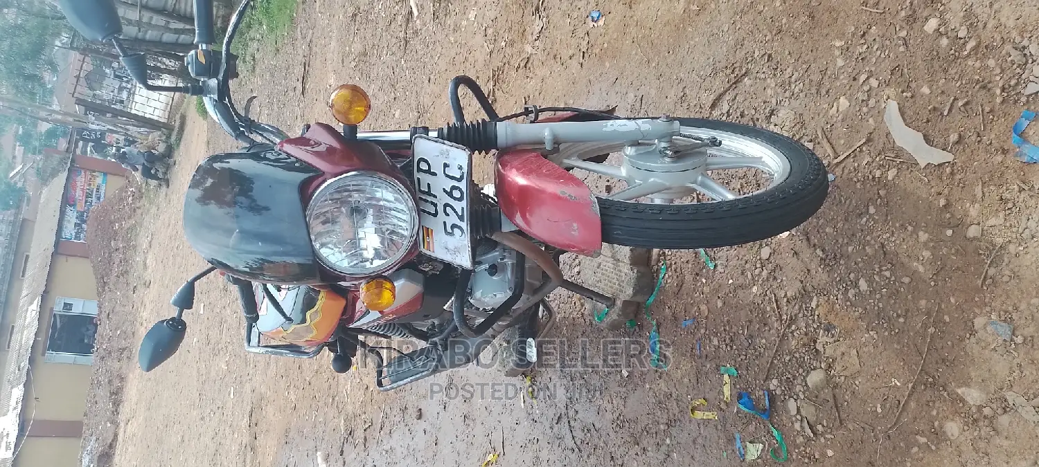 TVS HLX 125 2023 Gray