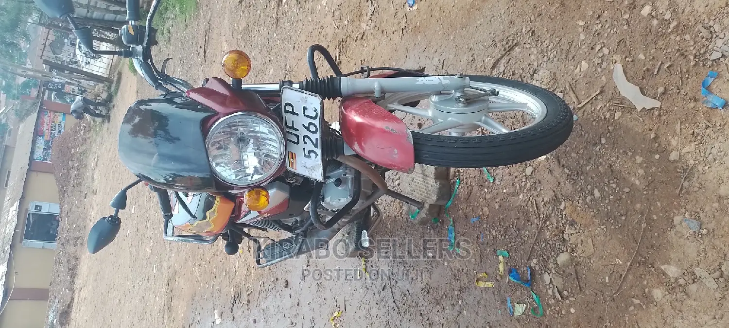 TVS HLX 125 2023 Gray