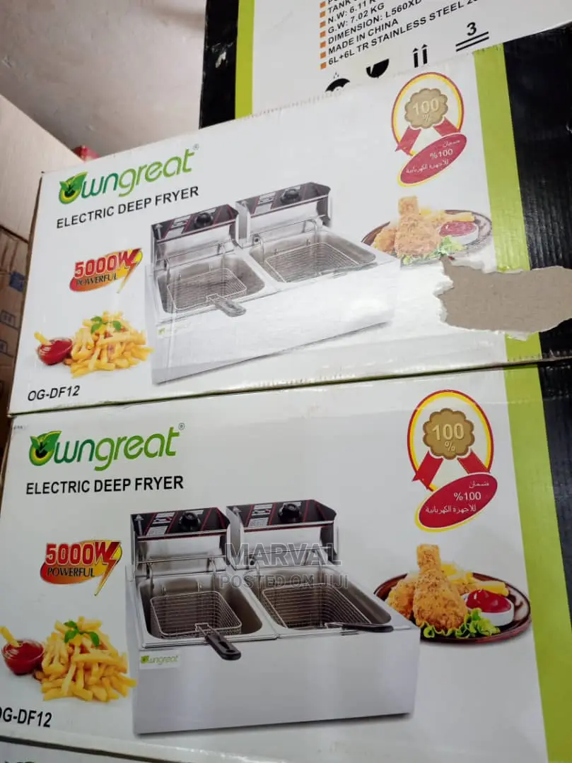 12L (6+6) Electric Deep Fryer