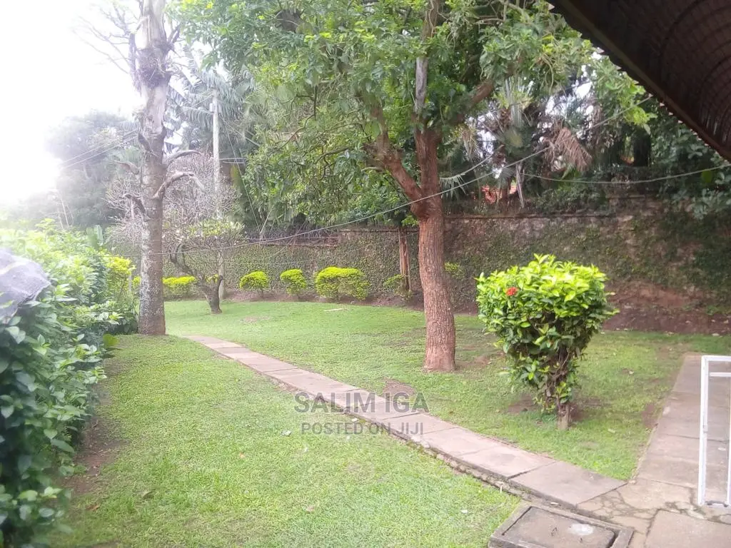 Furnished 2bdrm Chalet in Kololo Property, Central Division for rent