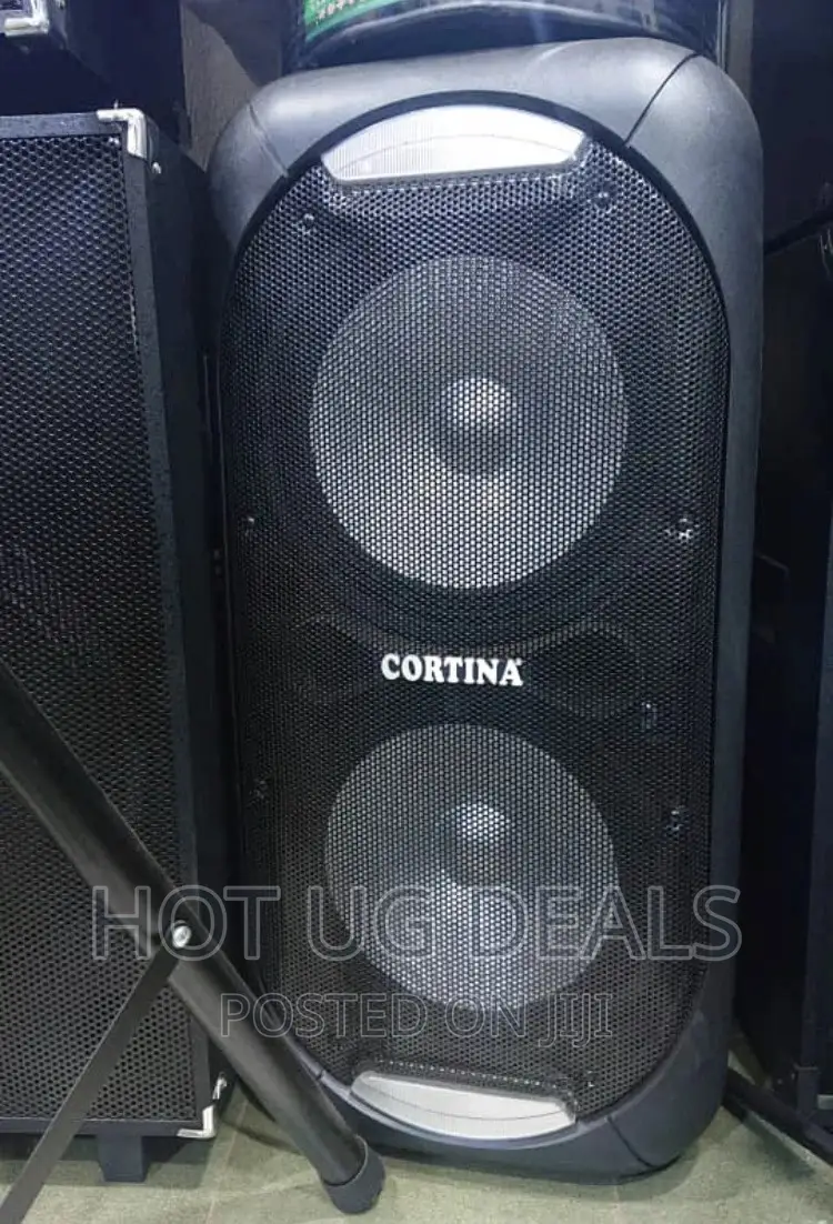 Cortina 12" Dual Rechargeable Amplified Speaker With 2 Mics